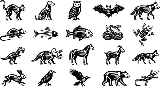 Silhouette vector set of spooky animal skeletons and wildlife anatomy