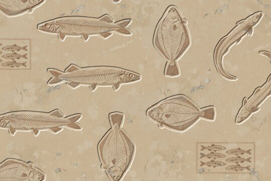 A pattern of various fish fossils embedded in a light beige stone surface, featuring detailed skeletal impressions of different aquatic species today