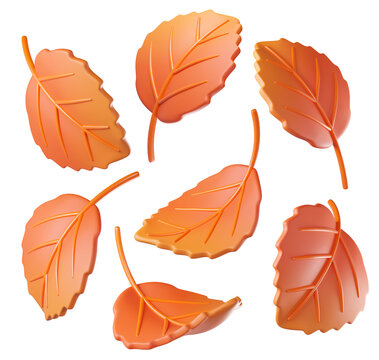 Fall 3D leaf in orange color, isolated on background. Botanical leaves for eco design, autumn, nature, Halloween, Thanksgiving, stickers, banners. 3d render
