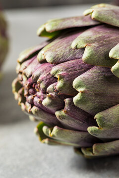 Organic Raw Purple Artichoke Vegetables