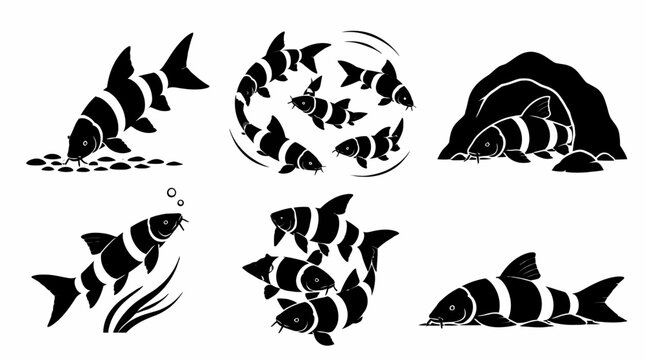 Clown Loach Fish Silhouette Set, Black and White Vector Icons