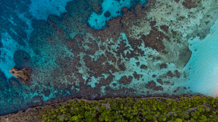 coral reef in the blue sea of Roatan, Honduras © Fernando