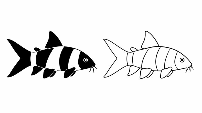 Clown loach fish silhouette and outline vector, aquarium species illustration