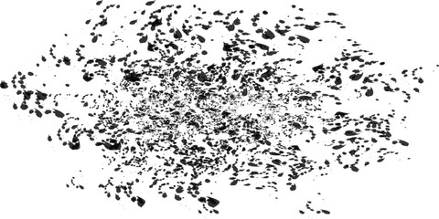 Obraz premium Abstract Black Ink Splatter and Particle Dispersion Grunge Texture on White Background