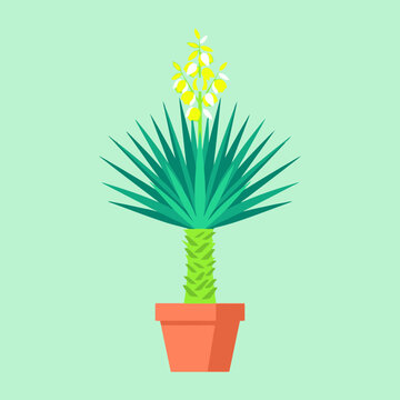 Flat vector illustration of a blooming yucca plant in a terracotta pot