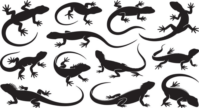 Collection of Black Lizard and Gecko Silhouettes in Various Poses on a White Background