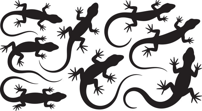Collection of Silhouetted Lizards in Various Poses and Curled Tails on a White Background