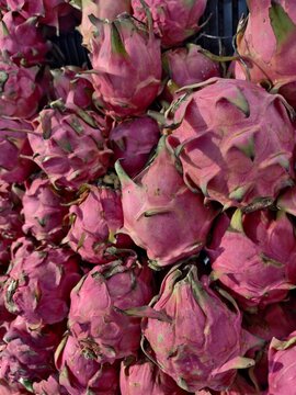 Fresh pitaya dragon fruit stacked for sale at local market with dragonfruit tropical superfood