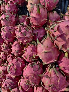 Close-up of fresh pitaya fruit stacked at farmer market with dragonfruit tropical superfood