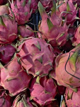 Fresh pitaya dragon fruit pile display at local market with dragonfruit tropical superfood