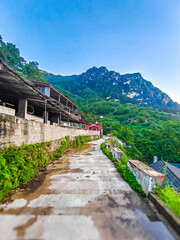 Fototapeta premium Mountain Village Pathway with Green Forest Hills and Scenic Landscape