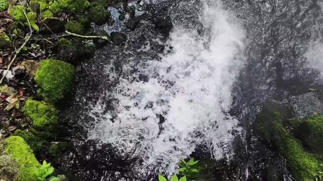 Clear fresh water bubbling up from a natural mountain spring surrounded by green mossy stones