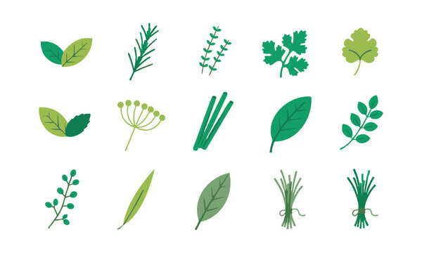 Organic Herb Leaf Collection.