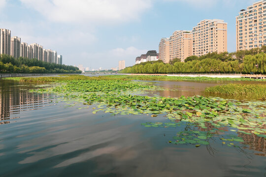 Urban River Wetlands and Architecture