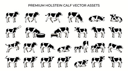 Fototapeta premium Black and White Holstein Cattle Vector Illustrations Collection.