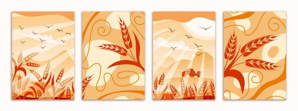 Brochure flyer design, agricultural landscape, rye or barley, agriculture and harvest, set vertical a4 format, vector design