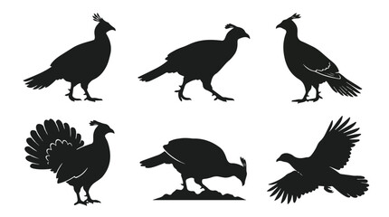 Fototapeta premium A set of six monal bird in various poses silhouette vector icon illustrations on a white background 