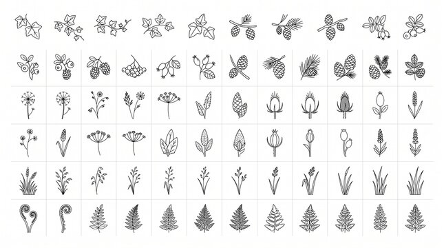 Minimalist botanical line art icons, set of 72 hand drawn floral sketches, black ink nature illustrations on white background, organic plant symbols