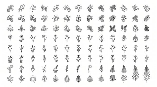 Minimalist botanical line art icons, set of 96 hand drawn floral elements, black ink nature sketches of leaves and wildflowers on white background