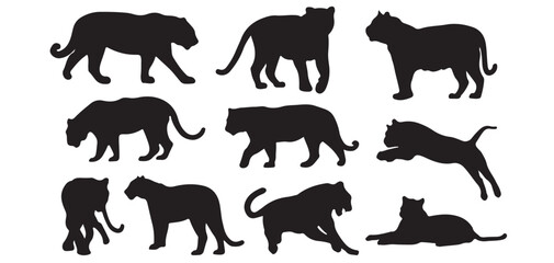 Big Cat Silhouette Set Including Lion Tiger Leopard Panther and Cheetah Vector illustrator eps10 © LATIF