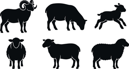 Domestic Sheep Silhouette Collection Vector Featuring Solid Black Ram with Curved Horns Grazing Ewe Leaping Lamb and Front View Fluffy Flock Elements © MdAsad