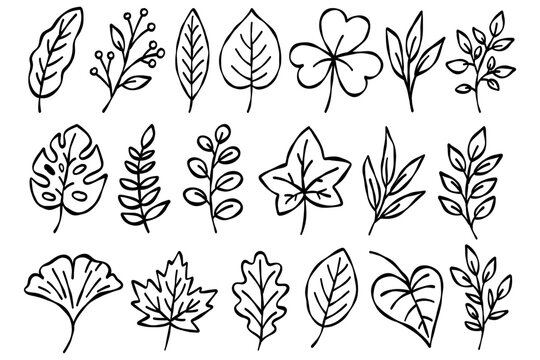 Hand drawn floral leaf element set doodle branch heart love icon border bundle