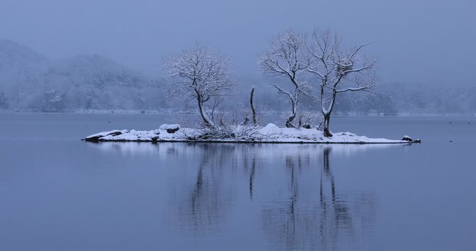 降雪の裏磐梯の檜原湖の湖畔