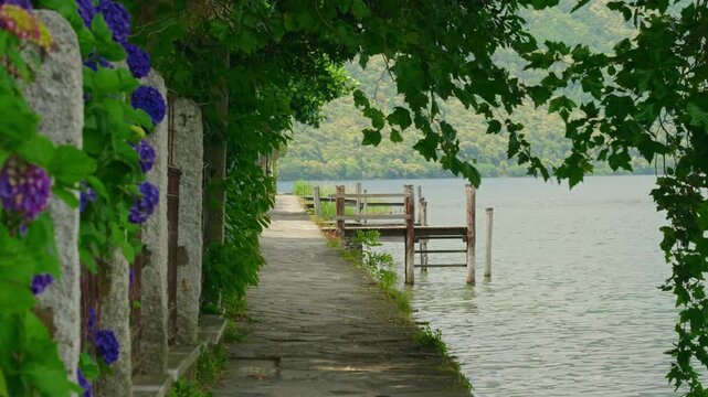 Colorful hydrangea flowers line a narrow lakeside walking path beneath an overhanging tree, with calm rippling water creating a serene and picturesque natural setting.