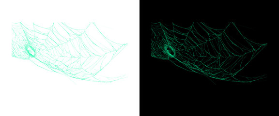 Ethereal glowing spider web, neon green cobweb design elements, mystical spiderweb patterns on black and white backgrounds for Halloween graphics © Stocker BD