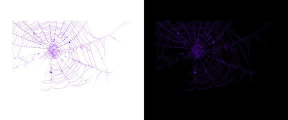 Purple spider web design elements, glowing violet cobweb set on white and black backgrounds, spooky neon spiderweb graphics for Halloween decor © Stocker BD