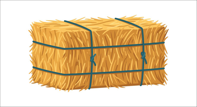 A rectangular bale of hay with dark blue twine bindings a vector illustration on a white background straw
