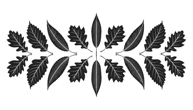 Symmetrical black and white leaf border illustration with woodcut style oak and elm leaves for modern designs.