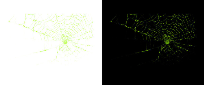 Neon green spider web on black and white backgrounds, glowing cobweb texture, spooky arachnid silk pattern for Halloween design