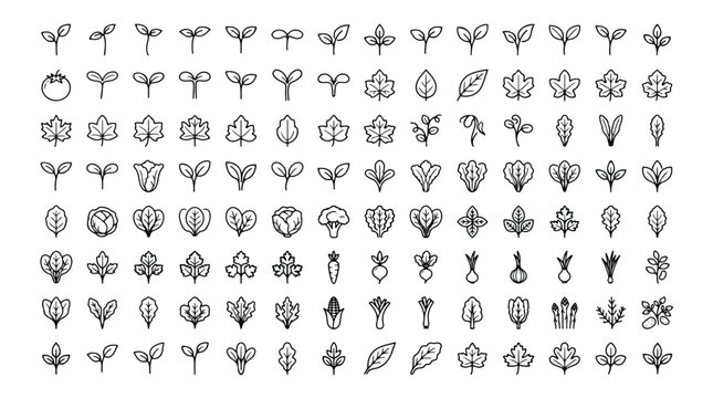 Minimalist plant line icons set, 112 organic leaf and sprout vector symbols, botanical garden and agriculture outline graphics for web design