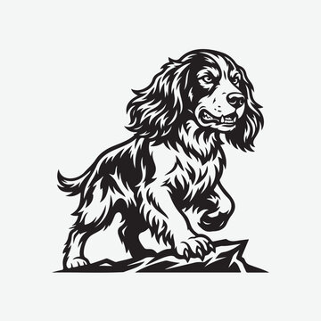 English Cocker Spaniel Dog Standing on Rock Outdoor Vector Illustration
