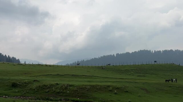 Rural Environment Journey Adventure. Travel Destination Kashmir Nature Beauty Green Landscape Valley Village City Roads Travel Pollution Blooms Buds Scenic Tourism Mountains Countryside Urban 