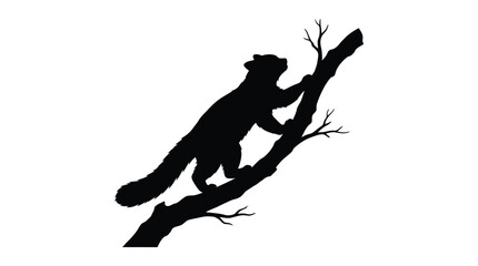 Red panda climbing a branch black silhouette © Musa