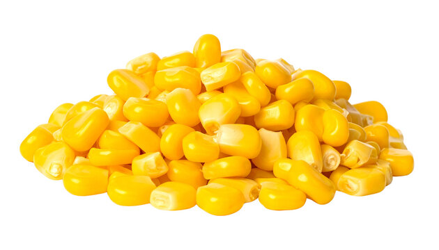 Sweet corn kernels pile isolated on white background, fresh yellow maize seeds, organic vegetable grains for cooking and food packaging isolated on solid white background1
