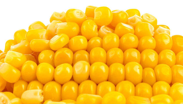 Sweet corn kernels pile isolated on white background, fresh yellow maize seeds, organic vegetable grains for cooking and food packaging isolated on solid white background3
