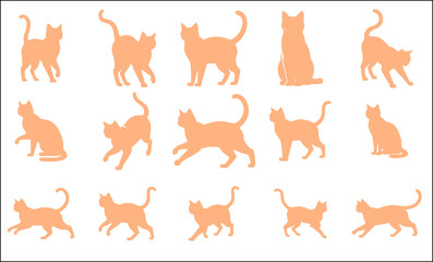 Fototapeta premium orange cats silhouette animal pet