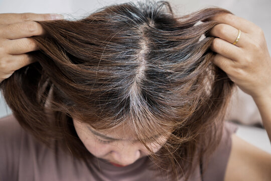 Close-up of a woman parting her hair to show gray roots and scalp problems. Ideal for hair care, aging, follicle treatment, anti-graying shampoo, and beauty salon concepts