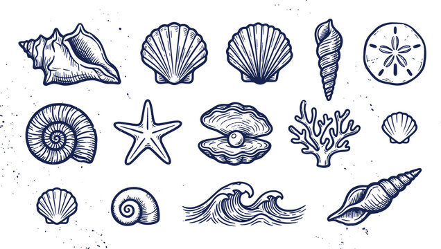 Collection of hand drawn sea shells and marine life icons with nautical starfish underwater creature vacation illustration seashell wildlife environment tropical coastline