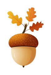 Obraz premium PNG Autumn acorn with oak leaves.