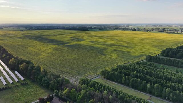 Aerial drone view of farm land in bloom