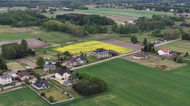 Drone view over flowering rapeseed agricultural landscape