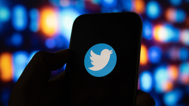 Smartphone held in hand showing twitter social media platform logo on dark illuminated display.