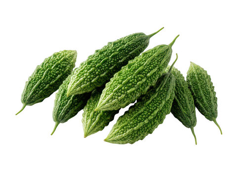 Fresh bitter melon on white background. Organic bitter gourd vegetables for healthy diet.