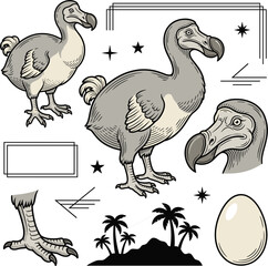Dodo Bird Vector Illustration Set Featuring Extinct Mauritian Avian Full Body Profiles, Detailed Head Portrait, Egg, Foot Claw, and Tropical Island Elements © MdMizanur