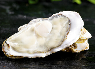 Fresh Opened Oyster with Milky Flesh Studio Food Photography © DangThi