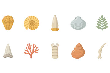 Collection of ten ancient fossils and prehistoric marine life specimens for paleontology and science education set © BlackVault Designs